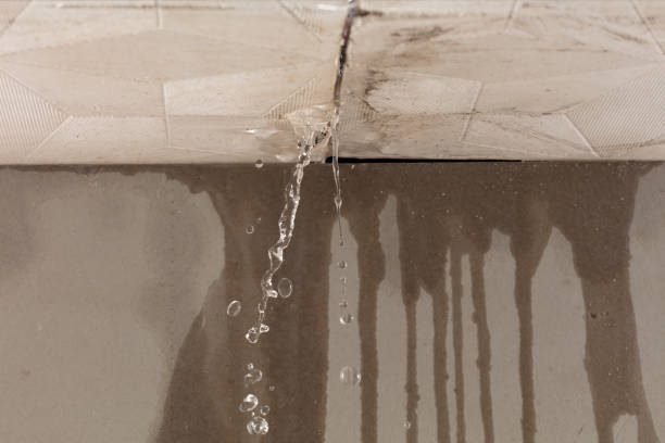Professional Water Damage Restoration technician working in Atlas, MI